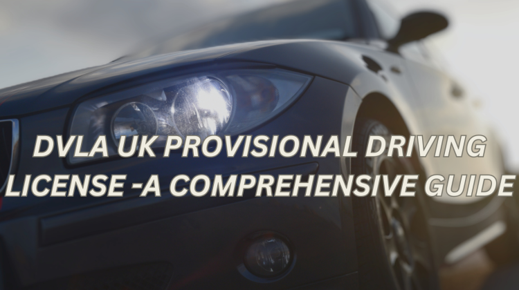 DVLA UK PROVISIONAL DRIVING LICENSE